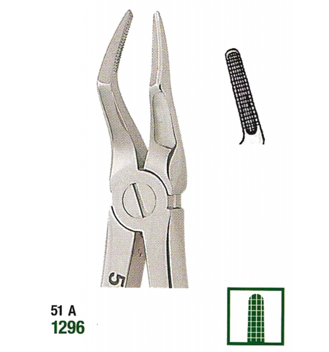 Extracting Forceps English No. 67 MED