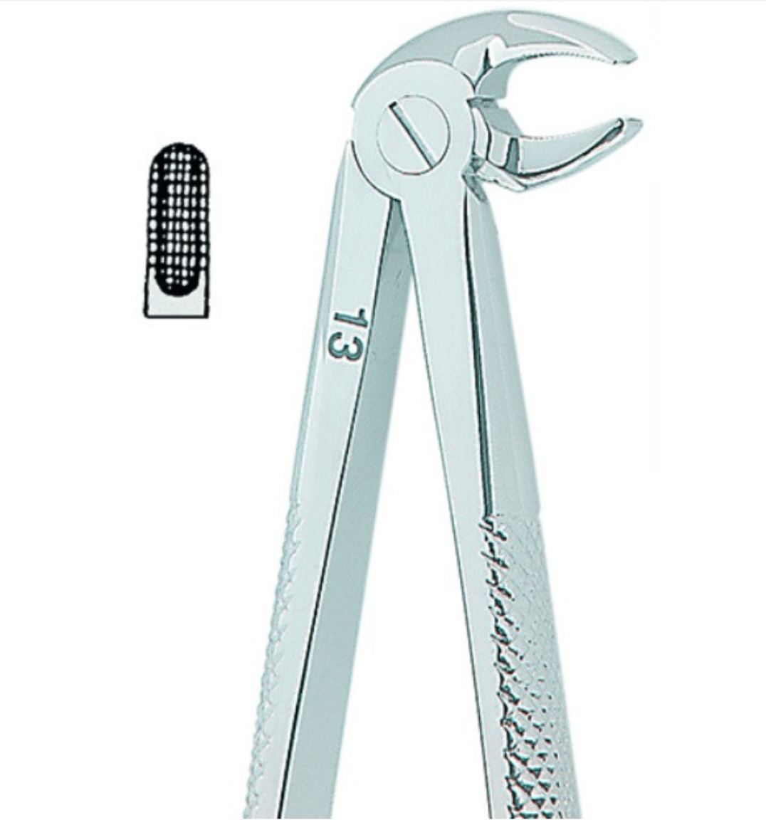 Kohler Extracting Forceps English No. 13 MEDIUM