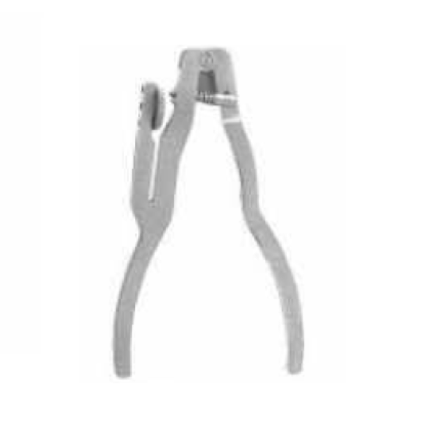 Diaguru Ivory Rubber Dam Forceps; 170 mm EACH
