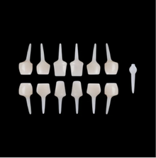 Edelweiss Dentistry Post & Core Kit