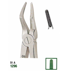 Extracting Forceps English No. 67 MED