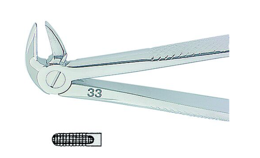 Kohler-Extracting Forceps English No. 33 MED