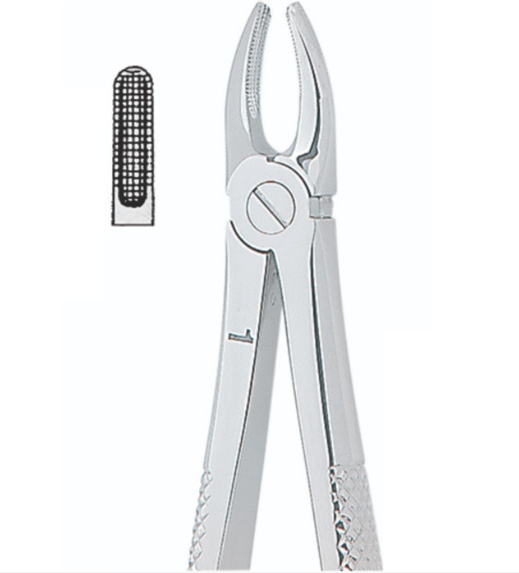 Kohler- Extracting Forceps English No. 1 MEDI