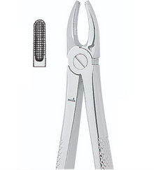 Kohler- Extracting Forceps English No. 1 MEDI
