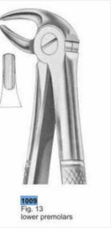 Diaguru Extraction Forceps #17; Upper Molar Right EACH